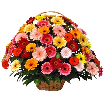 Kar���k renkli b�y�k gerbera sepet aranjman�  Ankara Eryaman yurti�i ve yurtd��� �i�ek sipari�i 