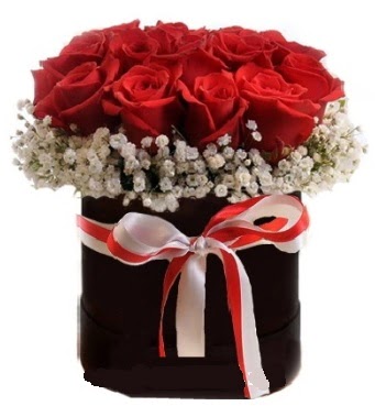 Siyah kutuda 23 adet k�rm�z� g�l tanzimi  Ankara Eryaman yurti�i ve yurtd��� �i�ek sipari�i 