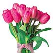 Eryamandaki �i�ek�iler kaliteli taze ve ucuz �i�ekler  10 adet kalite pembe LaLe