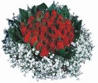  ankara �i�ek�i Eryaman �i�ek�i ma�azas�  12 adet kirmizi �zel g�ller